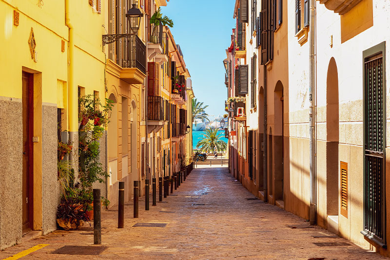 팔마 데 마요르카