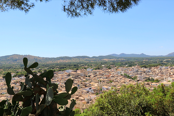 산 살바도르 성당