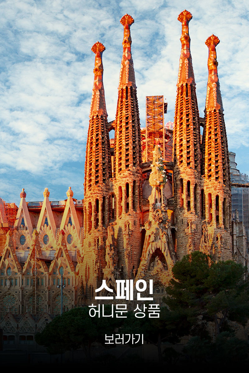 꿈꾸던 그곳으로, 유럽허니문