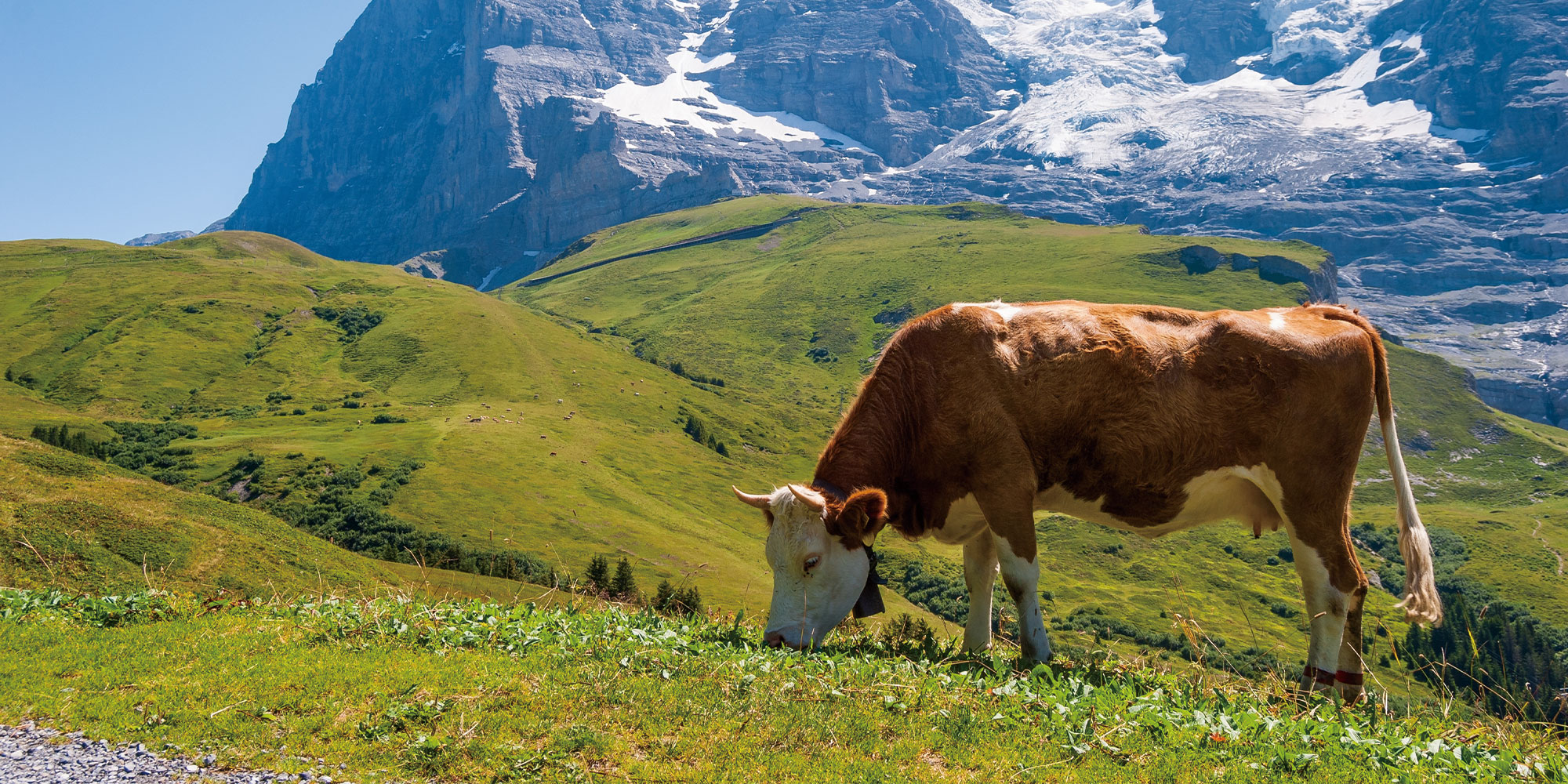 스위스 자유여행 | 인터라켄·체르마트·루체른 맞춤 일정 | IOS TRAVEL