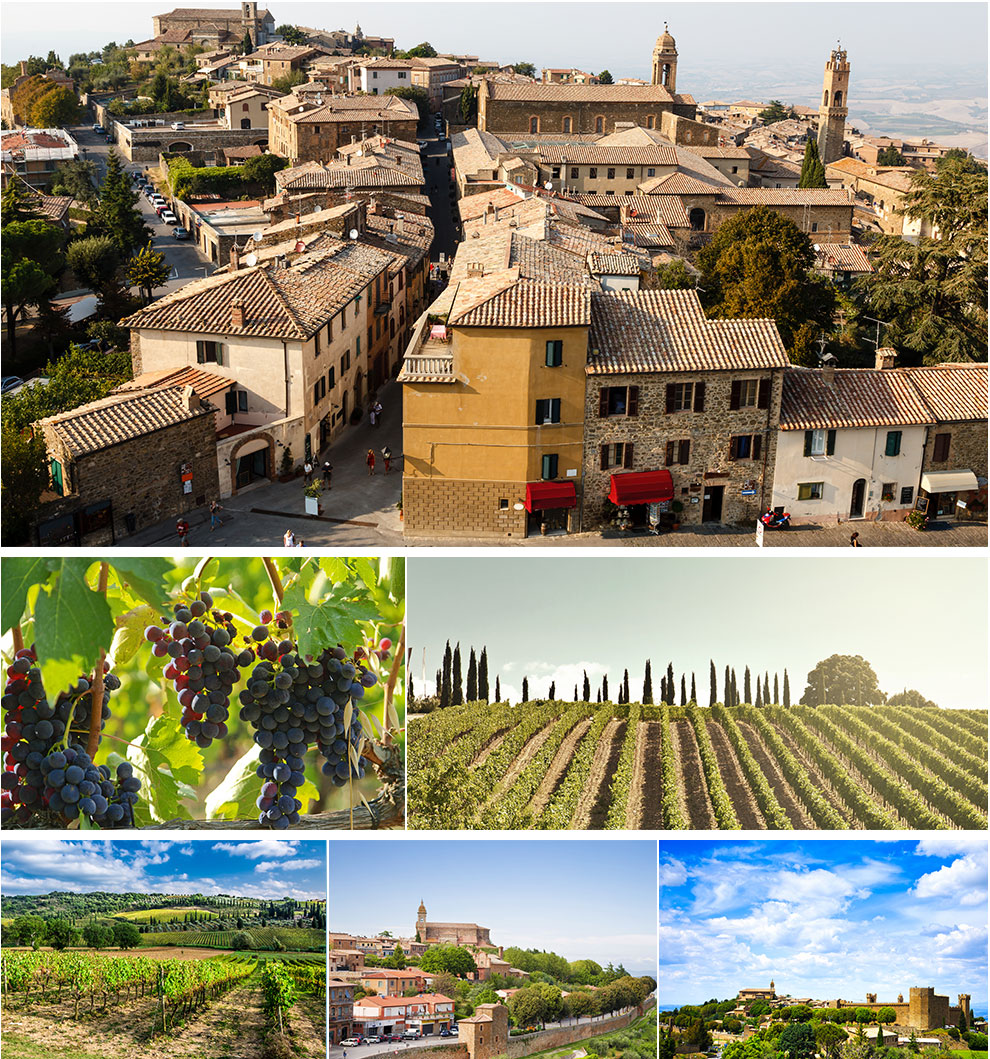 몬탈치노 브루넬로 와인 포도밭