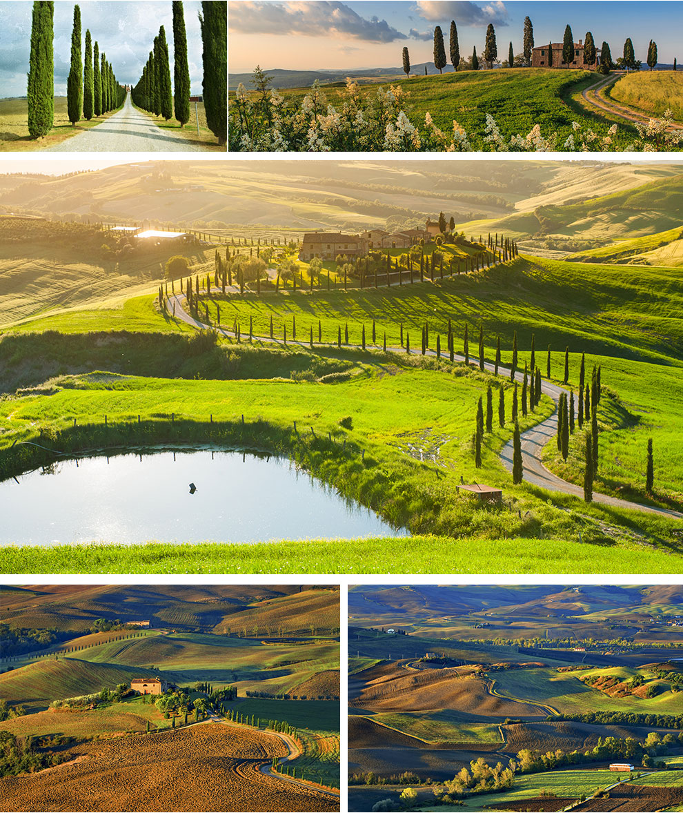 피엔차 발도르차 사이프러스 나무길