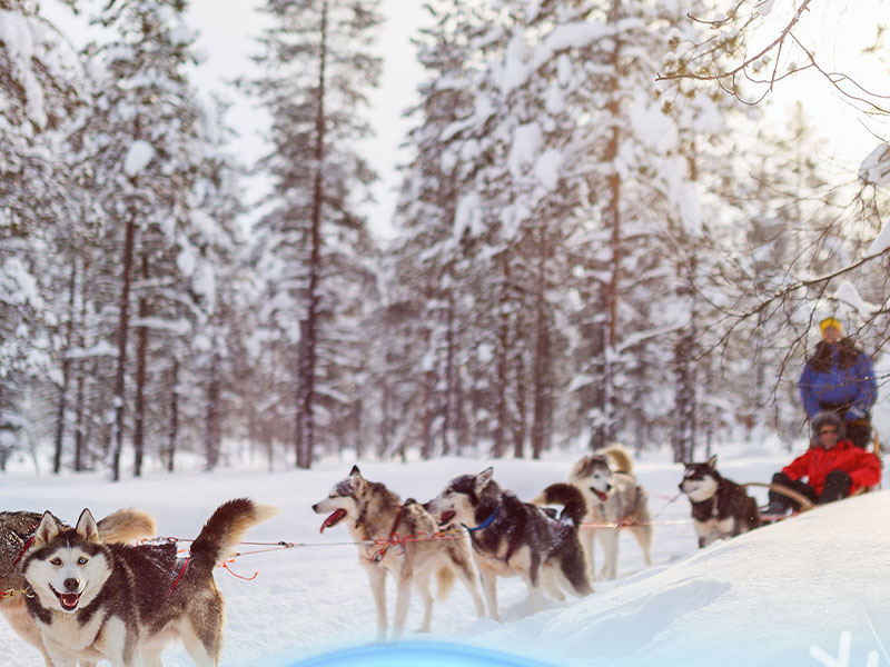 핀란드 필수 액티비티